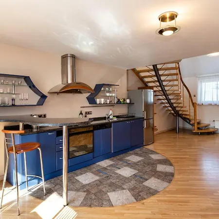 Old Aldaru Street 2 Level With Terrace Apartament *