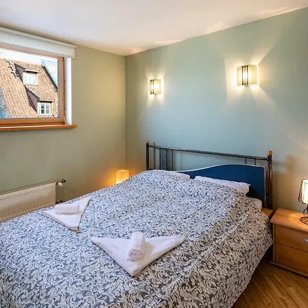 Old Aldaru Street 2 Level With Terrace Apartamento