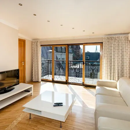 アパート Old Aldaru Street 2 Level With Terrace リガ