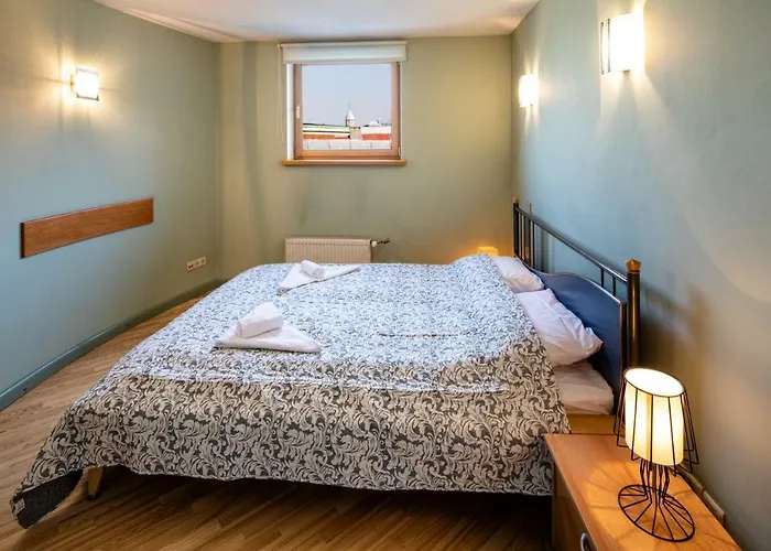 Old Aldaru Street 2 Level With Terrace Dzīvoklis