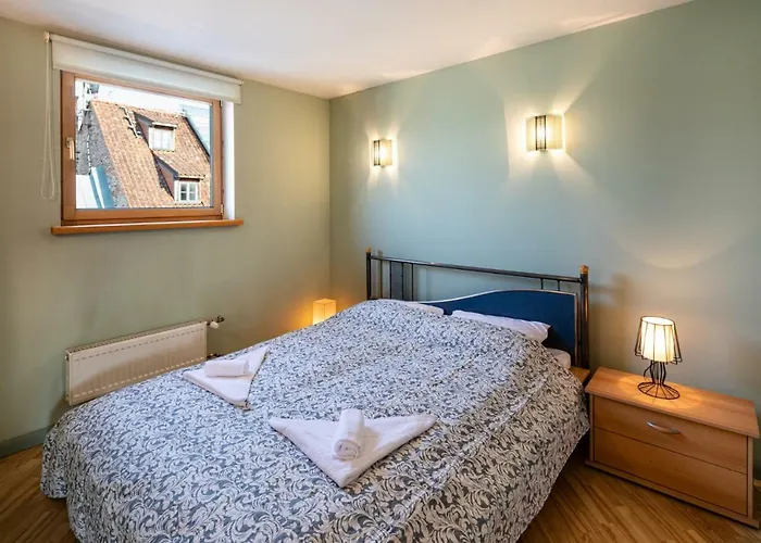 Old Aldaru Street 2 Level With Terrace Dzīvoklis