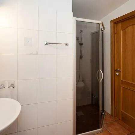 Old Aldaru Street 2 Level With Terrace Appartement Riga
